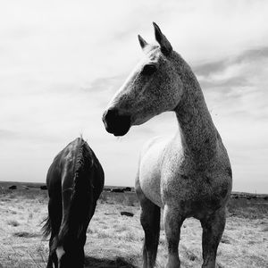 Meet your Posher, Avery